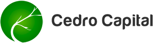 brand-cedro-capital_logo_nvoip_hub_parceira